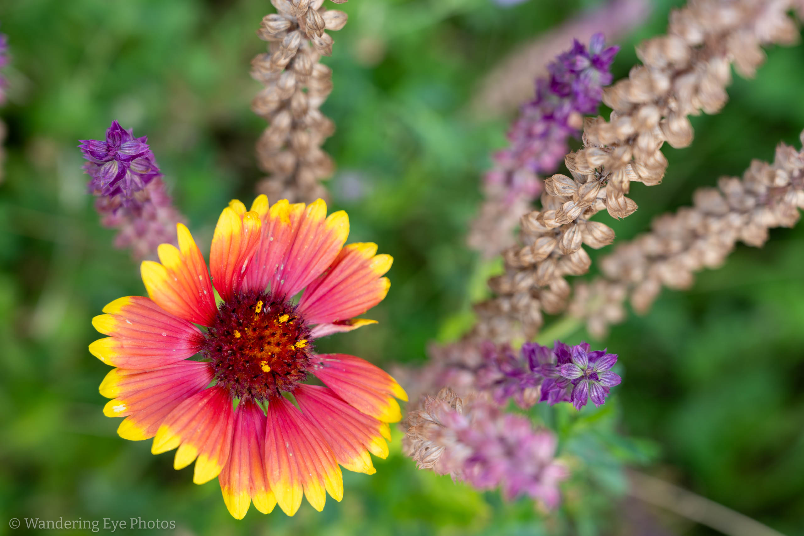 08.07 11.34.22   DSC02299